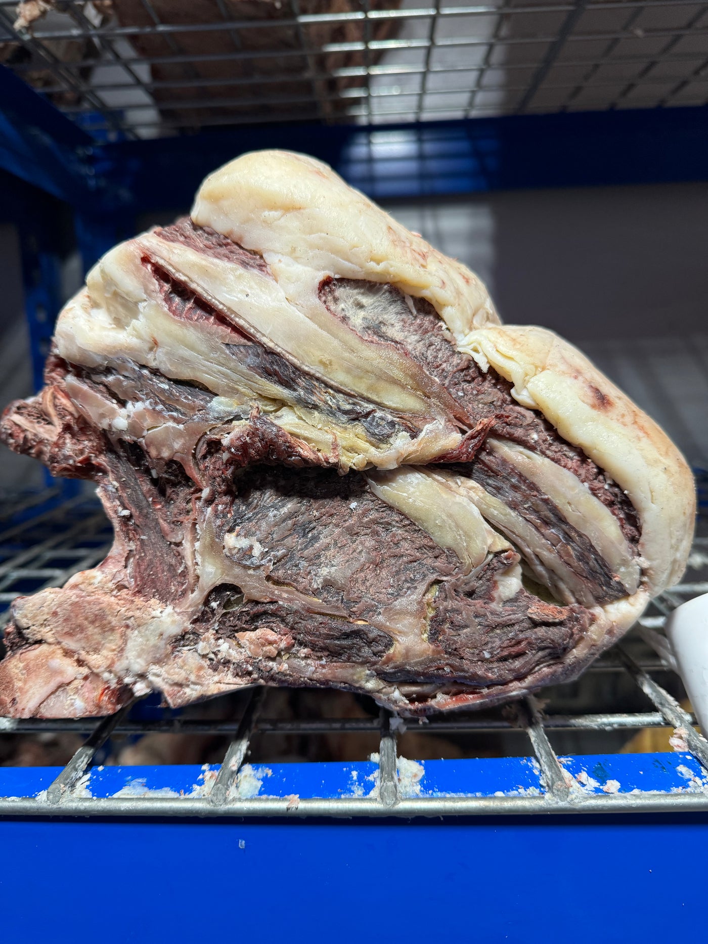 75 Day Dry-Aged Black Forest Simmental *TJB Exclusive* Thomas Joseph Butchery