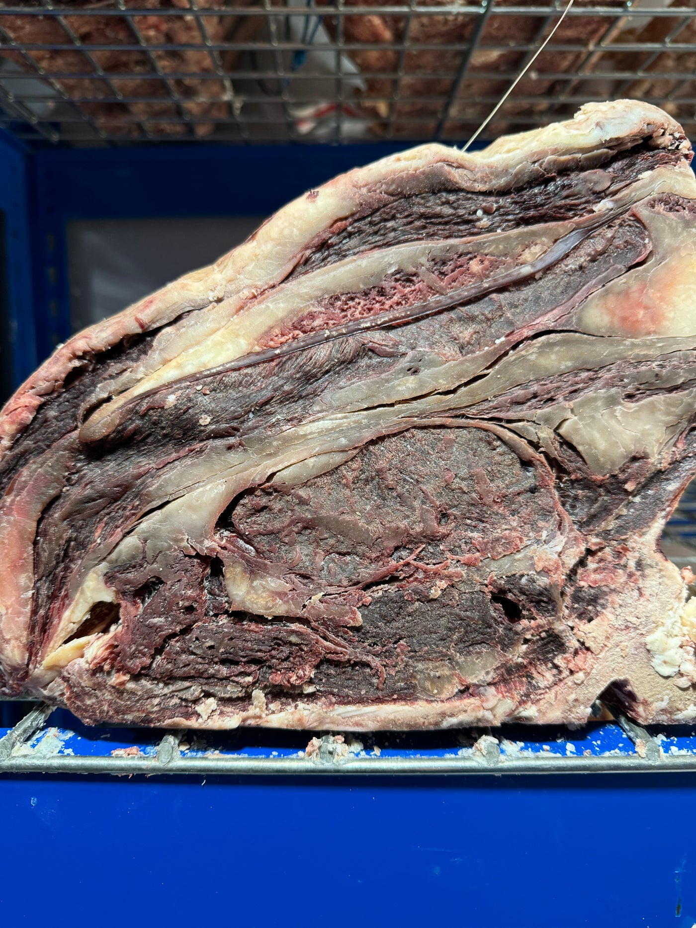 40 Day Dry-Aged Wagyu x Jersey Beast, Norfolk | *TJB Exclusive* Thomas Joseph Butchery