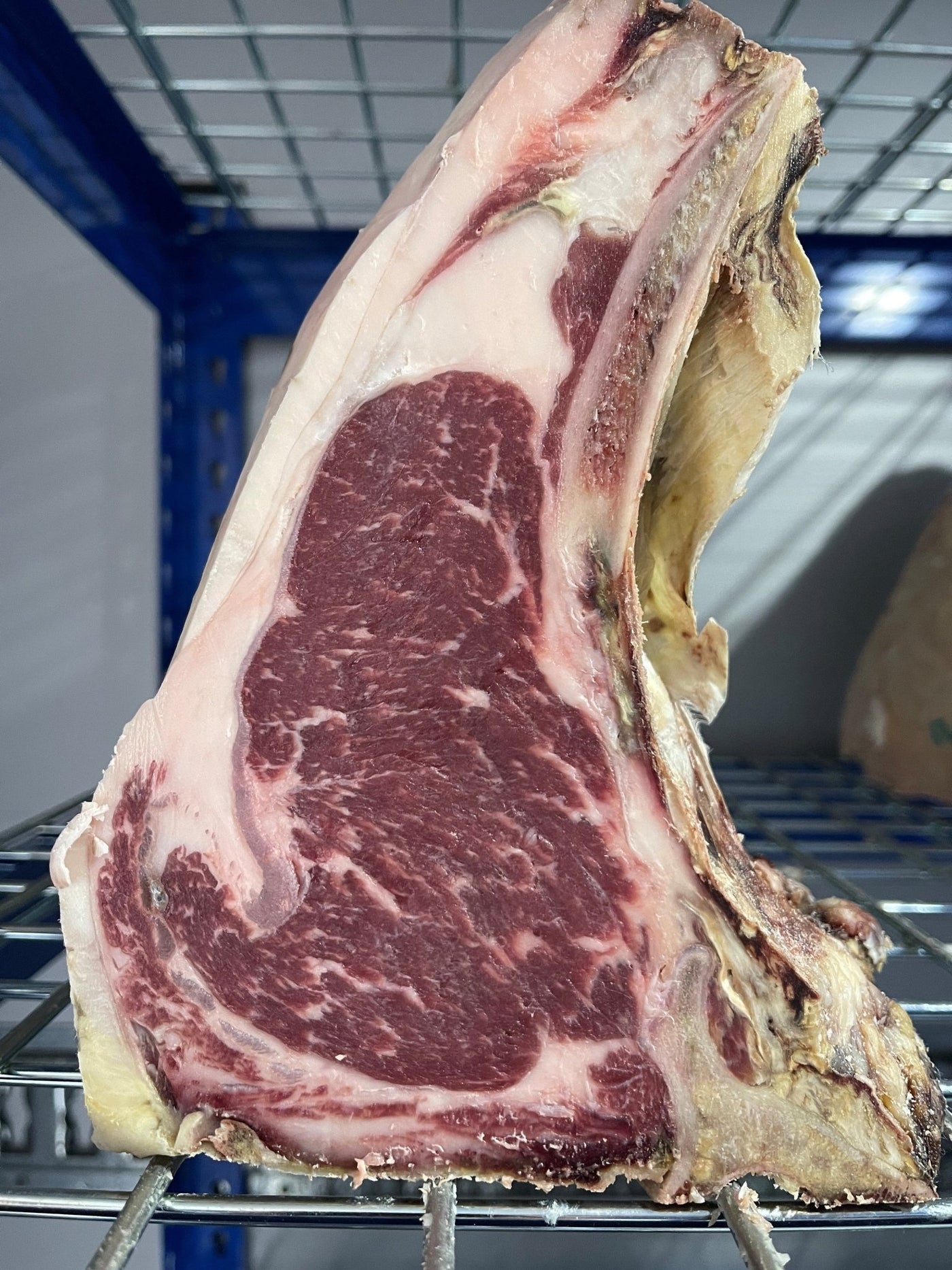 120 Day Dry-Aged Trenchmore Wagyu x Sussex - Thomas Joseph Butchery - Ethical Dry-Aged Meat The Best Steak UK Thomas Joseph Butchery