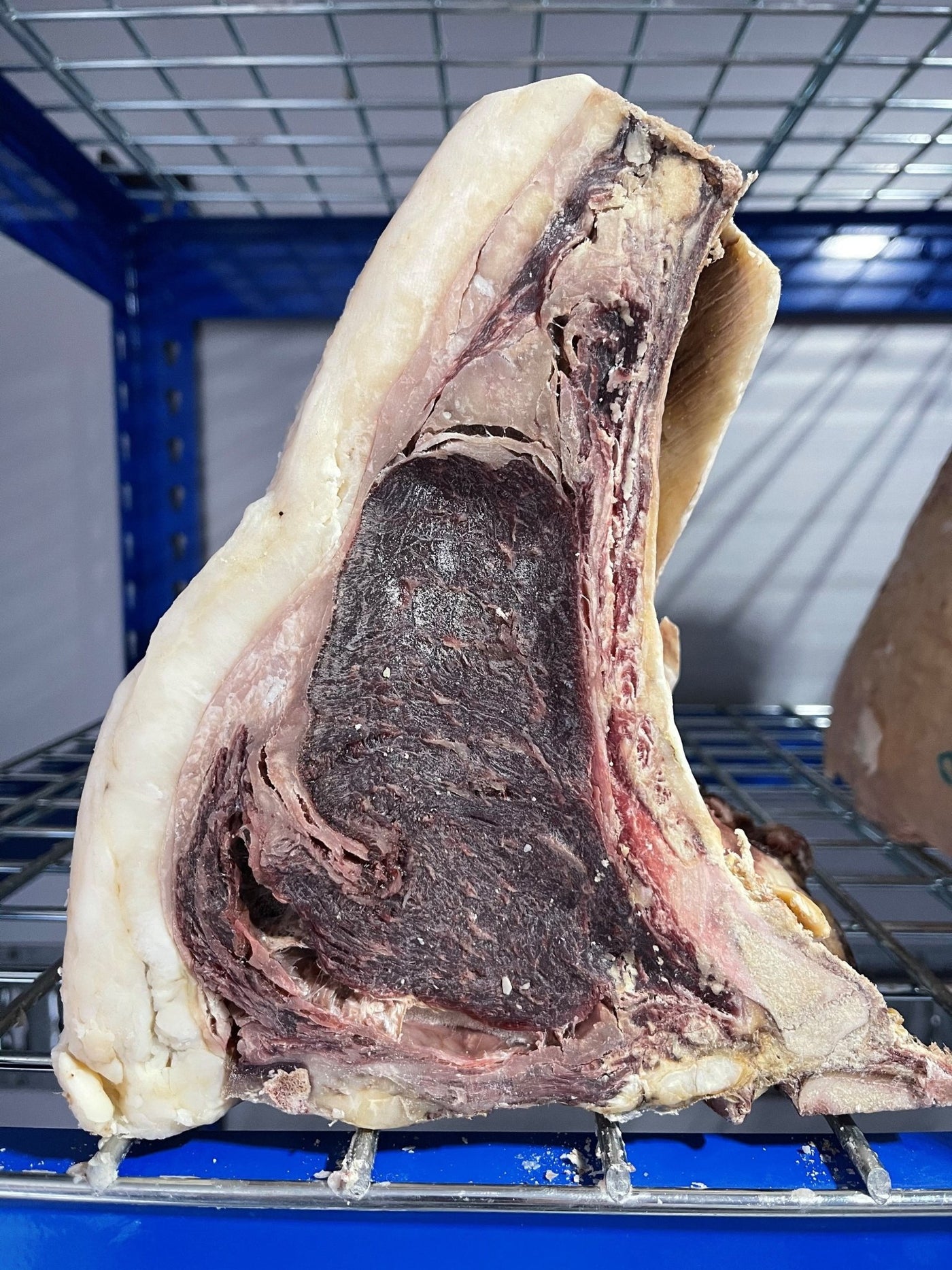 120 Day Dry-Aged Trenchmore Wagyu x Sussex - Thomas Joseph Butchery - Ethical Dry-Aged Meat The Best Steak UK Thomas Joseph Butchery