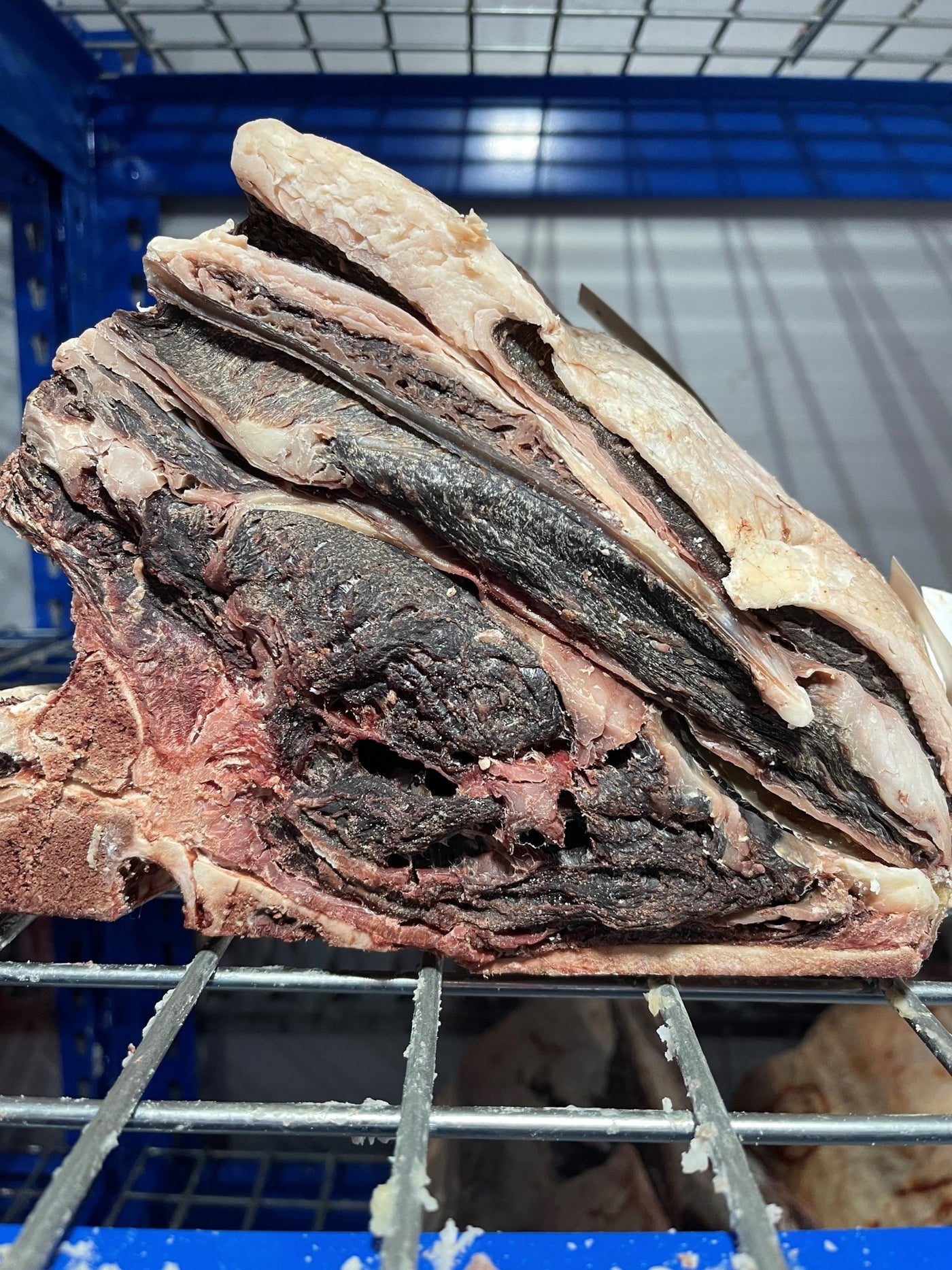 150 Day Dry-Aged Hereford x - Thomas Joseph Butchery - Ethical Dry-Aged Meat The Best Steak UK Thomas Joseph Butchery