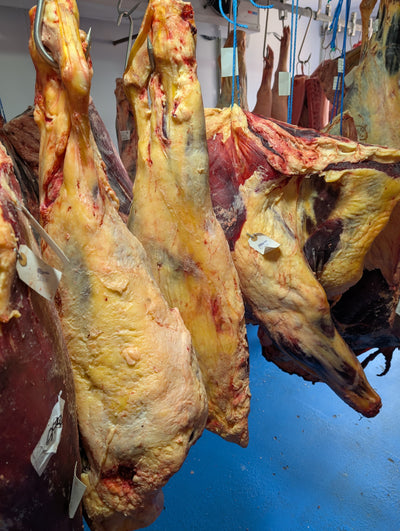 50 Day Dry-Aged Norfolk Wagyu *TJB Exclusive* Thomas Joseph Butchery