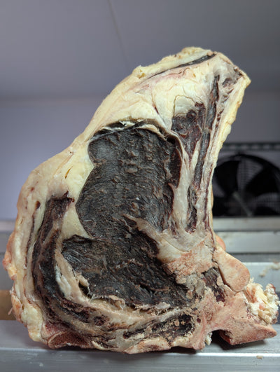 50 Day Dry-Aged Aberdeen Angus Cross *TJB Exclusive* Thomas Joseph Butchery