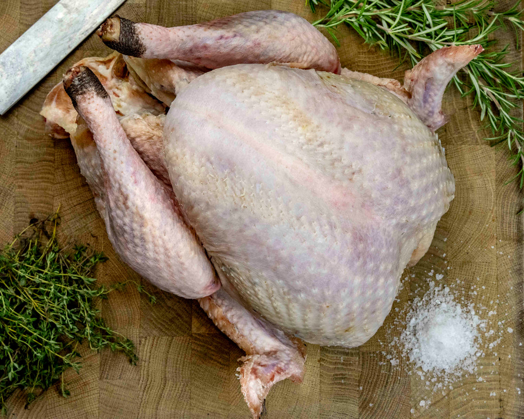 Game hung free range bronze turkey from the Thomas Joseph Christmas turkey box
