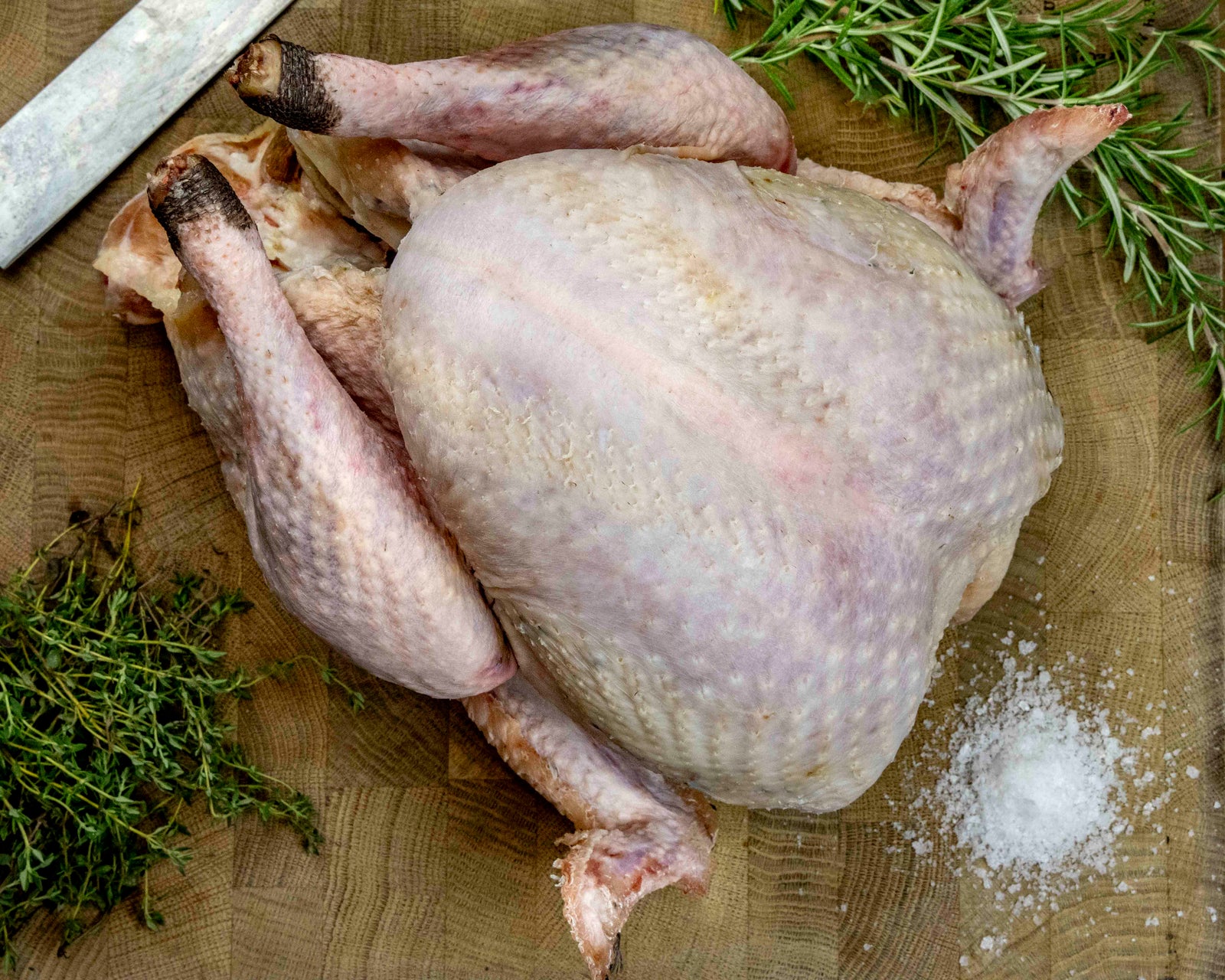 Game hung free range bronze turkey from the Thomas Joseph Christmas turkey box