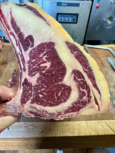 40 Day Dry-Aged Holstein/Friesian Cross (Ex Dairy), Shropshire Thomas Joseph Butchery