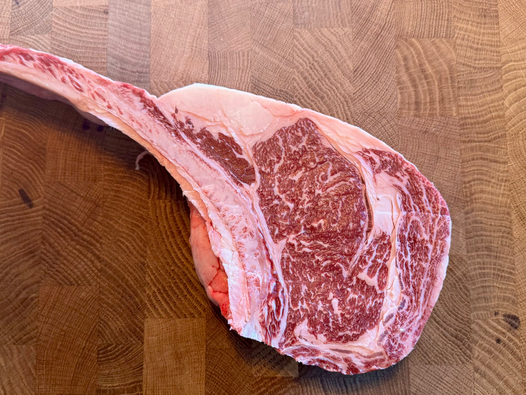 Grade 9 ICON XB Wagyu — Wagyu beef from Thomas Joseph Butchery