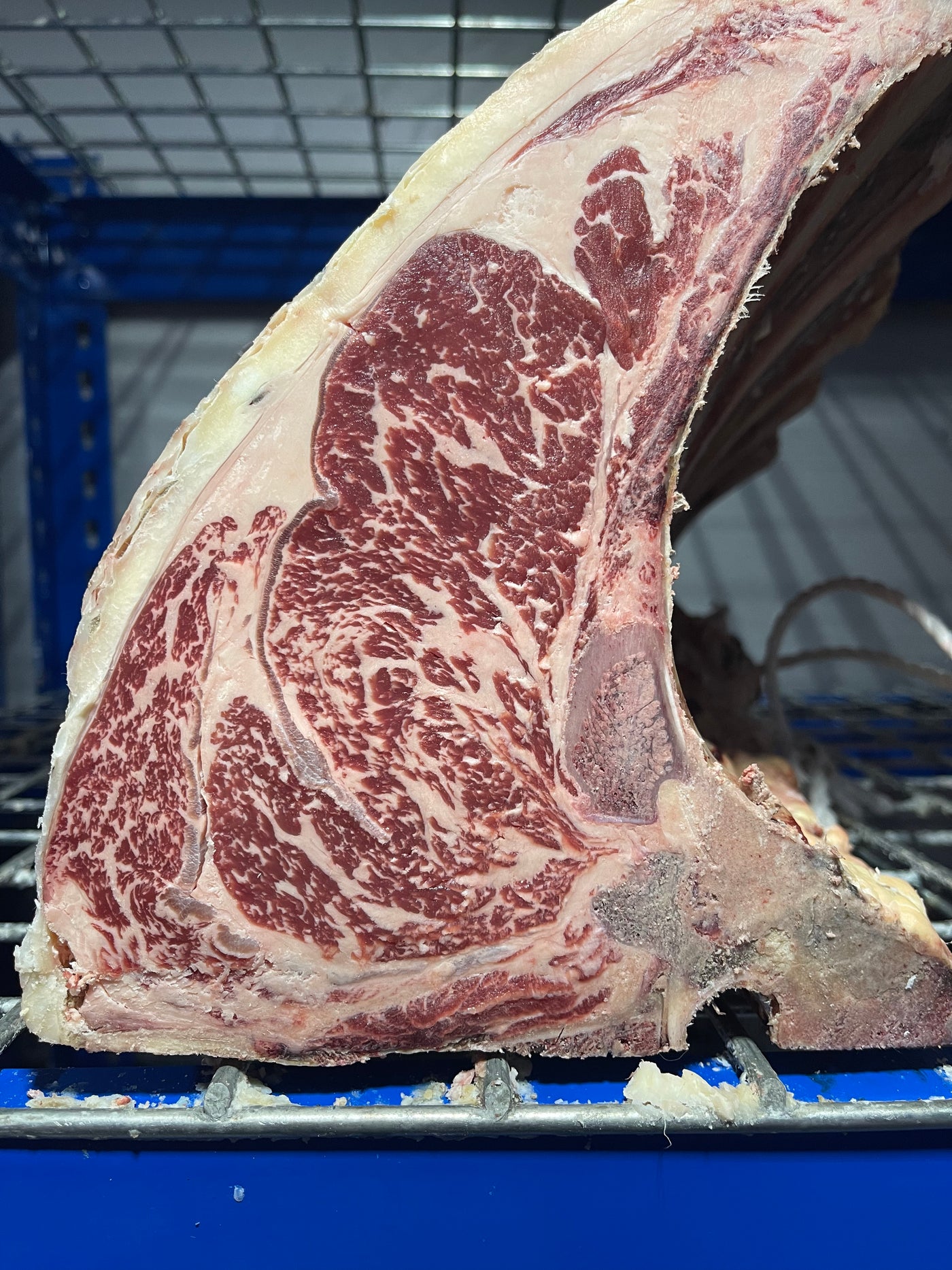 90 Day Dry-Aged Basque Region Simmental Thomas Joseph Butchery