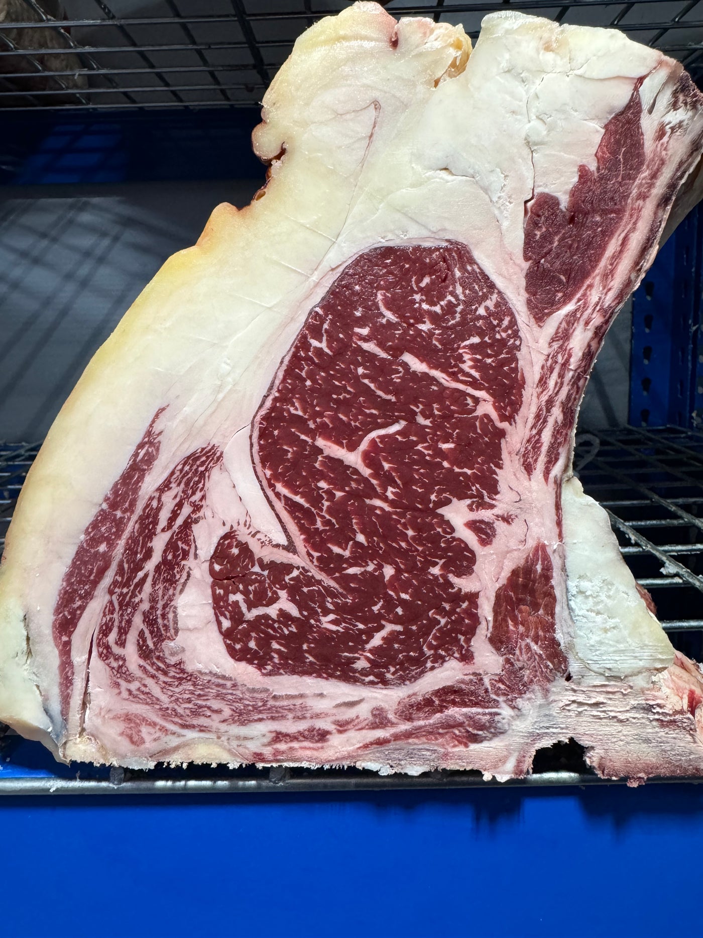 45 Day Dry-Aged Rubia Gallega *TJB Exclusive* Thomas Joseph Butchery