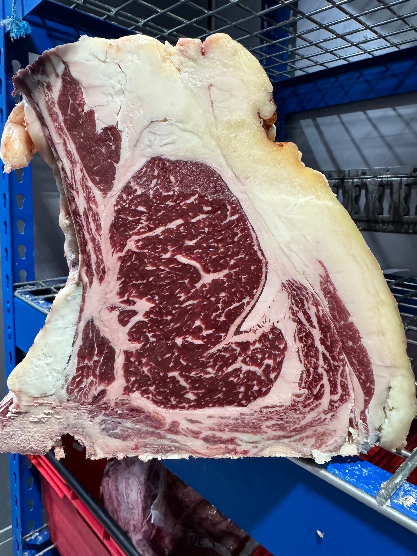 45 Day Dry-Aged Rubia Gallega *TJB Exclusive* Thomas Joseph Butchery