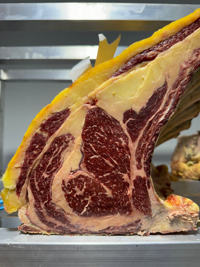 40 Day Dry-Aged Galician Frisona *TJB Excusive* Thomas Joseph Butchery