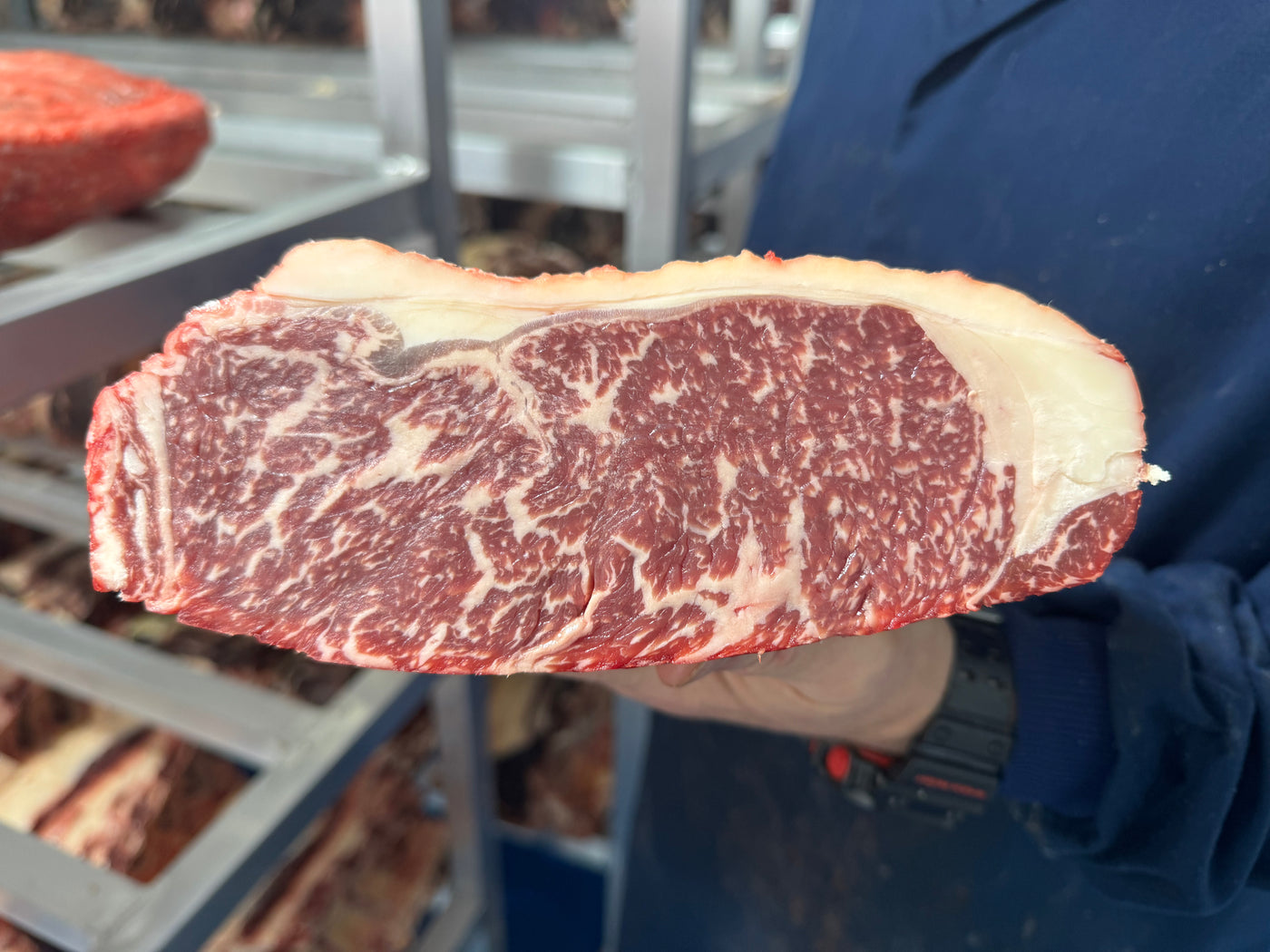 *TJB Special Edition* Grade 5-7 Chocolate fed UK Wagyu Thomas Joseph Butchery