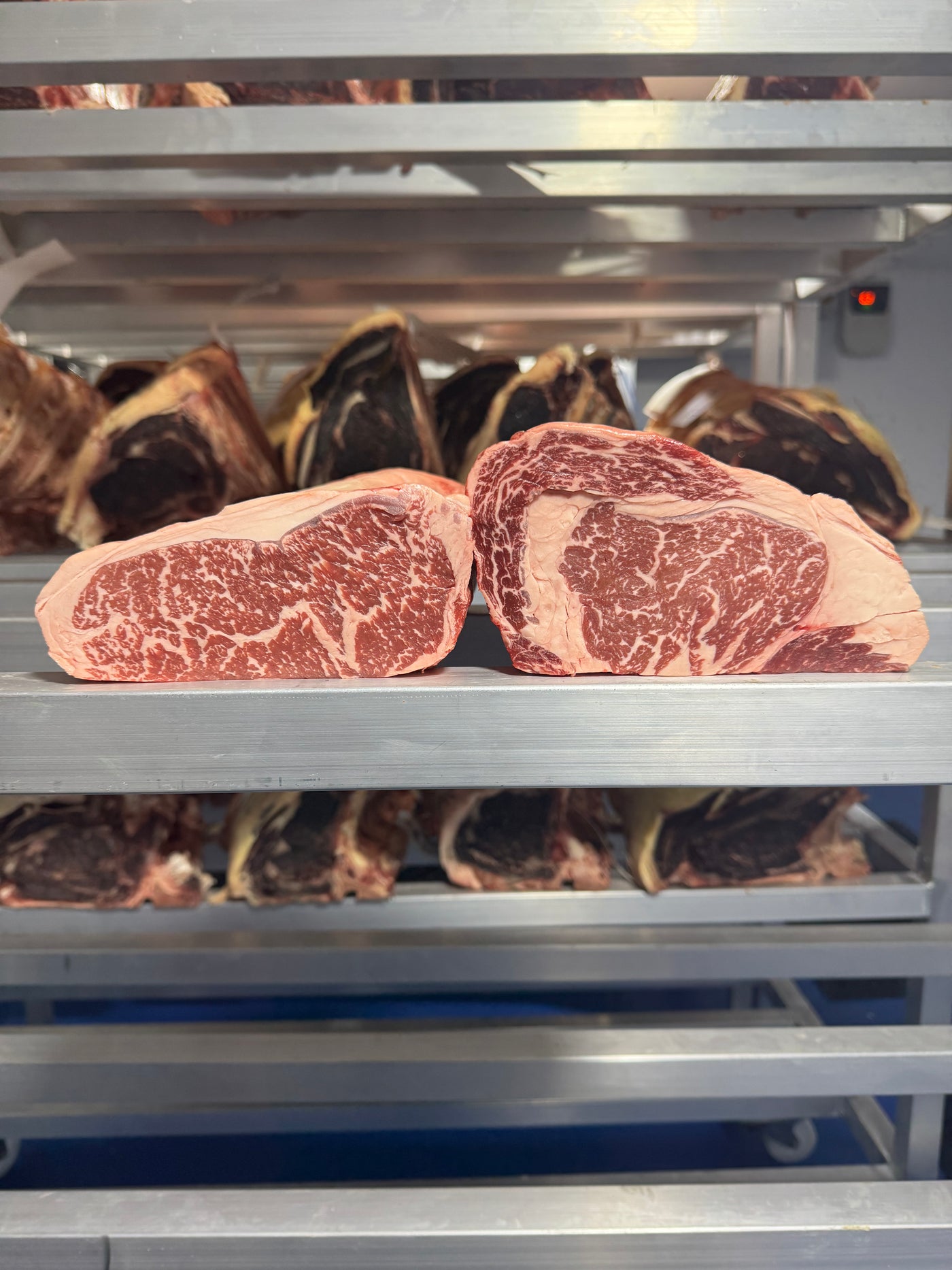 *TJB Special Edition* Chilean Wagyu Ribeye & Striploin Thomas Joseph Butchery