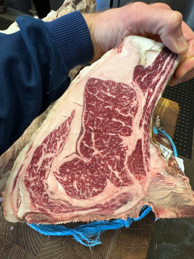 100 Day Dry-Aged Polish Frisona (Ex Dairy) *TJB Exclusive Thomas Joseph Butchery