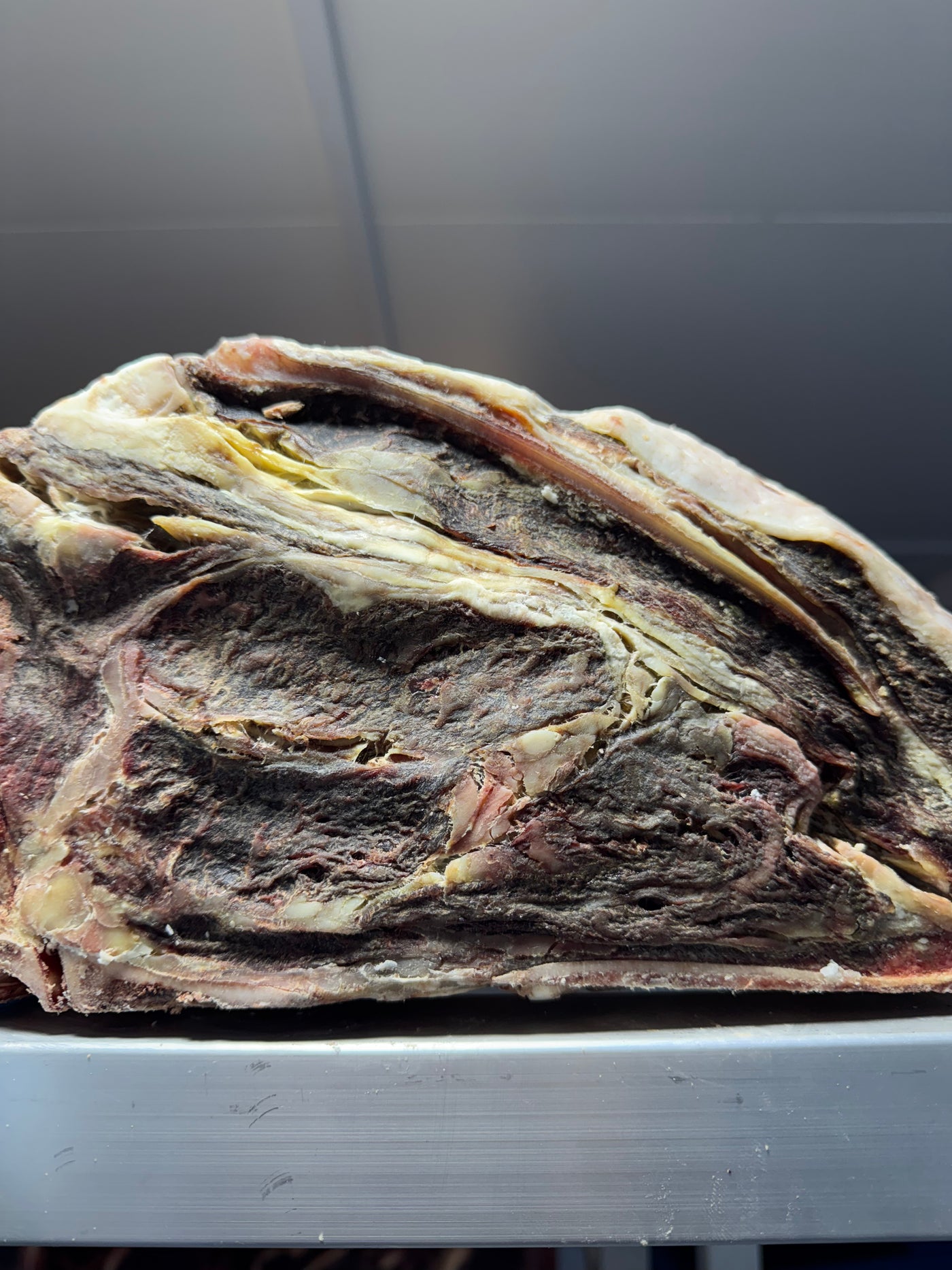 100 Day Dry-Aged Polish Frisona (Ex Dairy) *TJB Exclusive Thomas Joseph Butchery