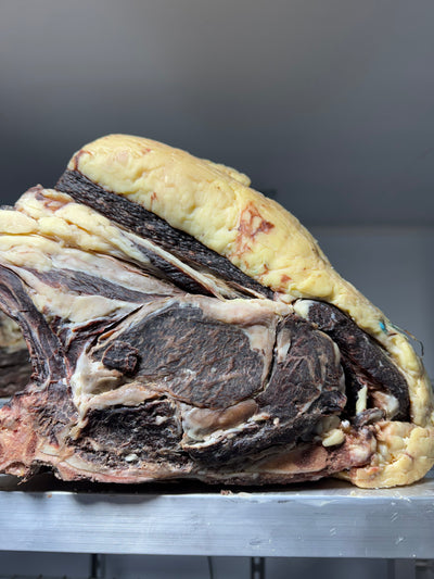 80 Day Dry-Aged Galician Ox *TJB Excusive* Thomas Joseph Butchery