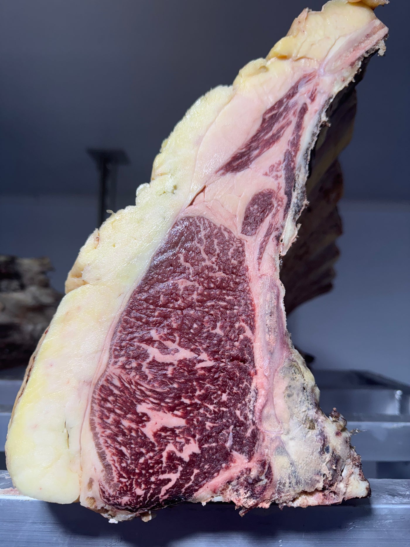 80 Day Dry-Aged Galician Ox *TJB Excusive* Thomas Joseph Butchery