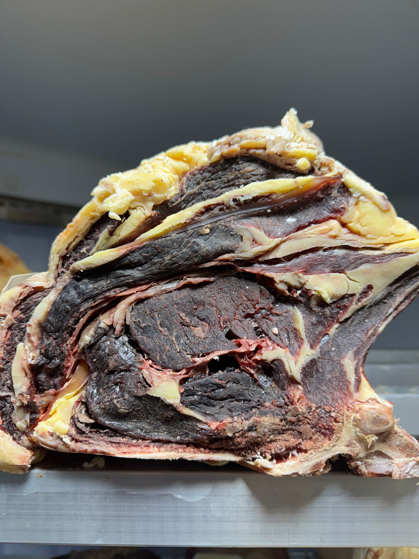 40 Day Dry-Aged Belted Galloway, Scotland Thomas Joseph Butchery