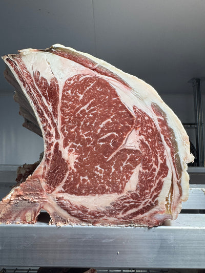 55 Day Dry-Aged Jersey x Angus *TJB Exclusive* Thomas Joseph Butchery