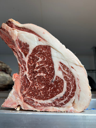 45 Day Dry-Aged Aberdeen Angus Cross *TJB Exclusive* Thomas Joseph Butchery