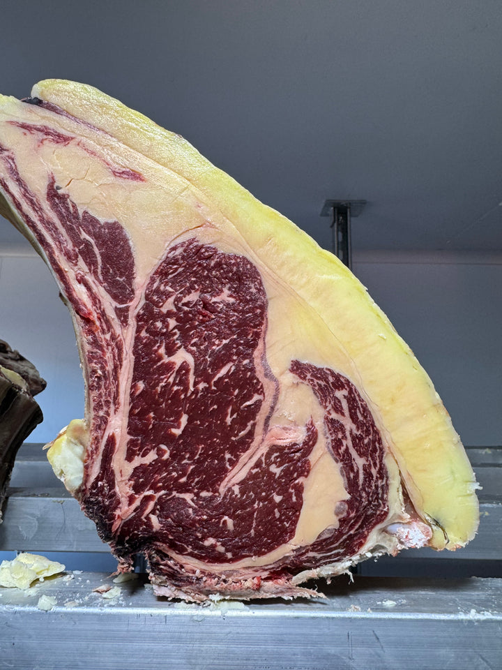 50 Day Dry-Aged Belted Galloway Beef — dry-aged beef from Thomas Joseph Butchery
