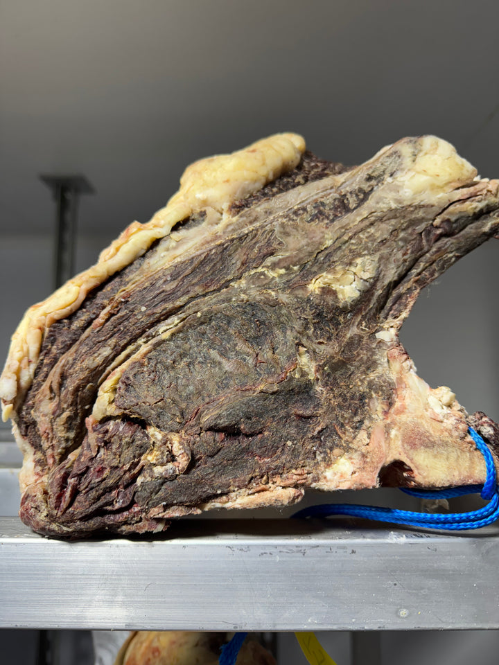 90 Day Dry-Aged Rubia Gallega *TJB Exclusive*