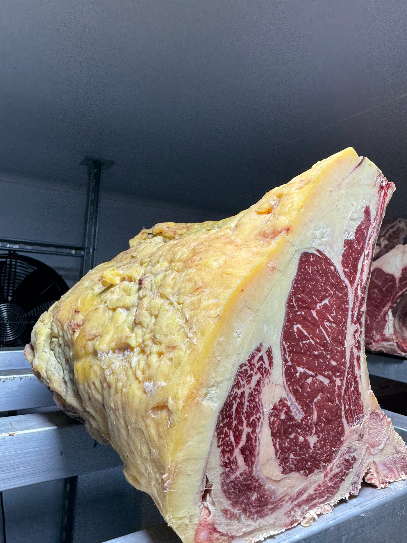 45 Day Dry-Aged Holstein/Friesian Cross (Ex Dairy), Shropshire Thomas Joseph Butchery