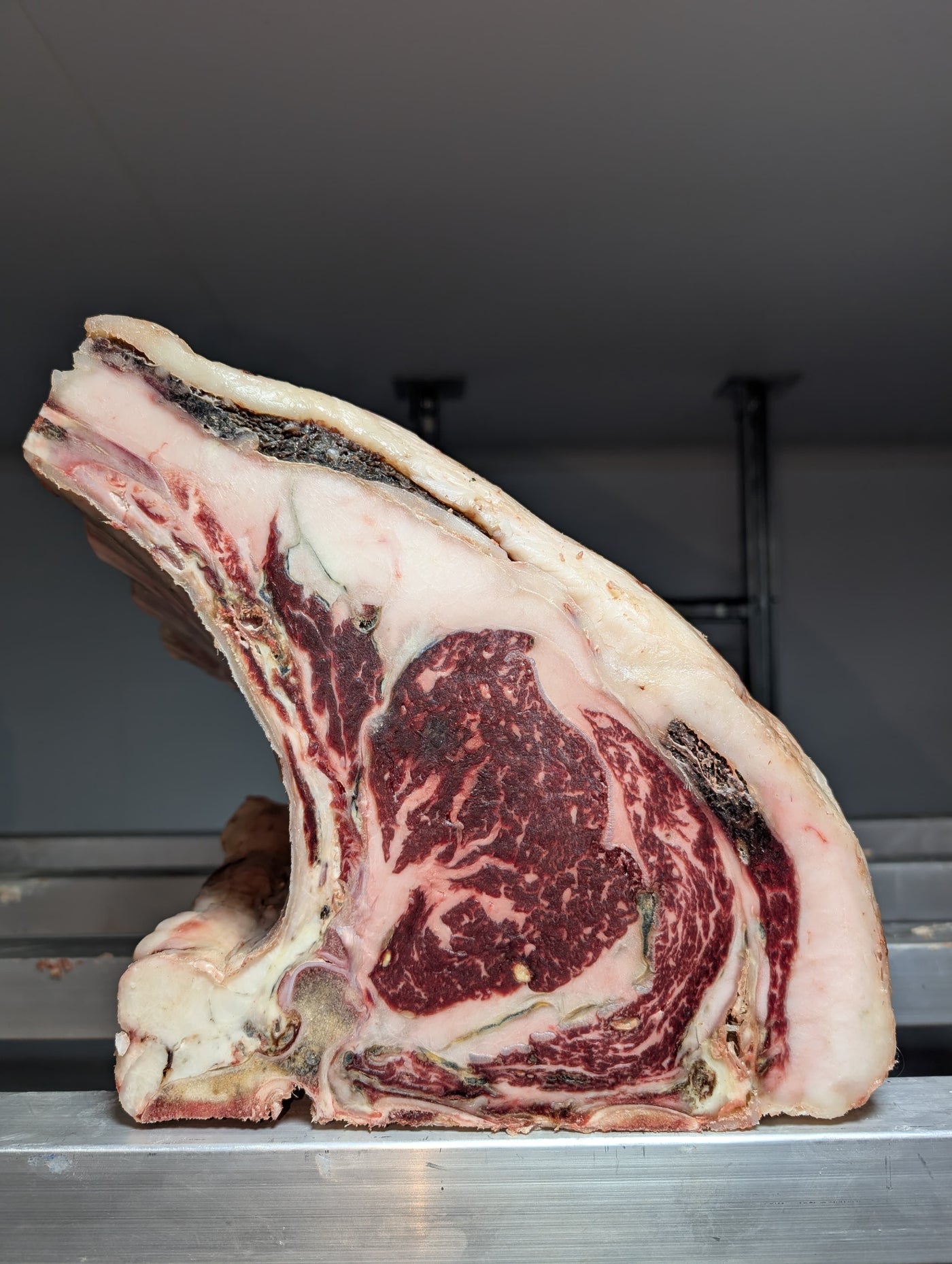 65 Day Dry-Aged Fullblood Wagyu x Belted Galloway *TJB Exclusive* Thomas Joseph Butchery