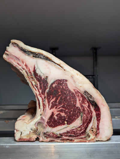 65 Day Dry-Aged Fullblood Wagyu x Belted Galloway *TJB Exclusive* Thomas Joseph Butchery
