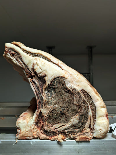 65 Day Dry-Aged Fullblood Wagyu x Belted Galloway *TJB Exclusive* Thomas Joseph Butchery