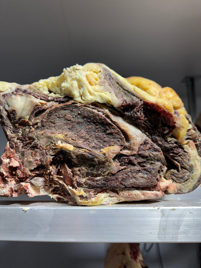 55 Day Dry-Aged Rubia Gallega *TJB Exclusive* Thomas Joseph Butchery