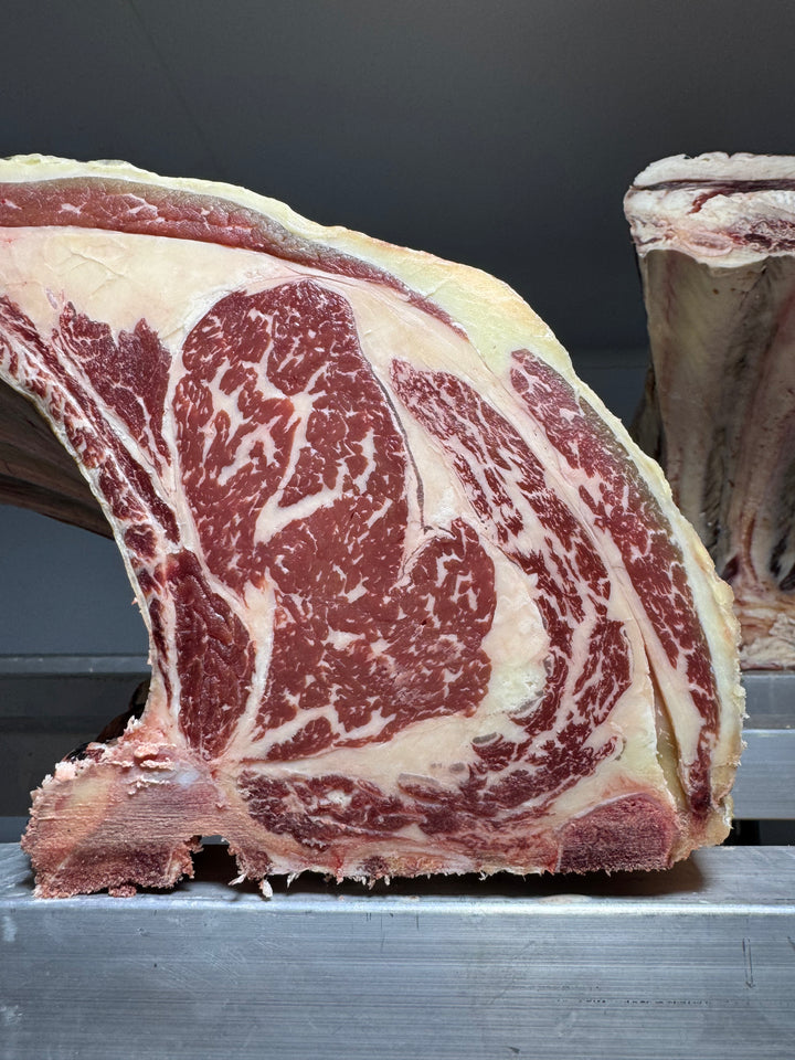 50 Day Dry-Aged Angus — dry-aged grass-fed beef from Thomas Joseph Butchery