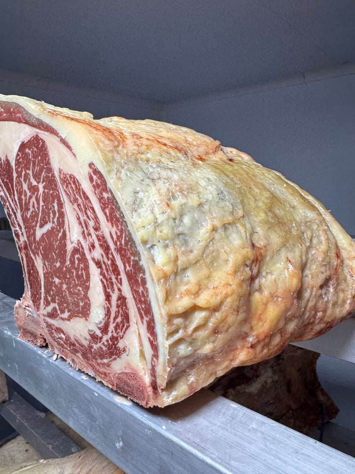 Dry-aged grass-fed beef rib section showing rich marbling and fat cover