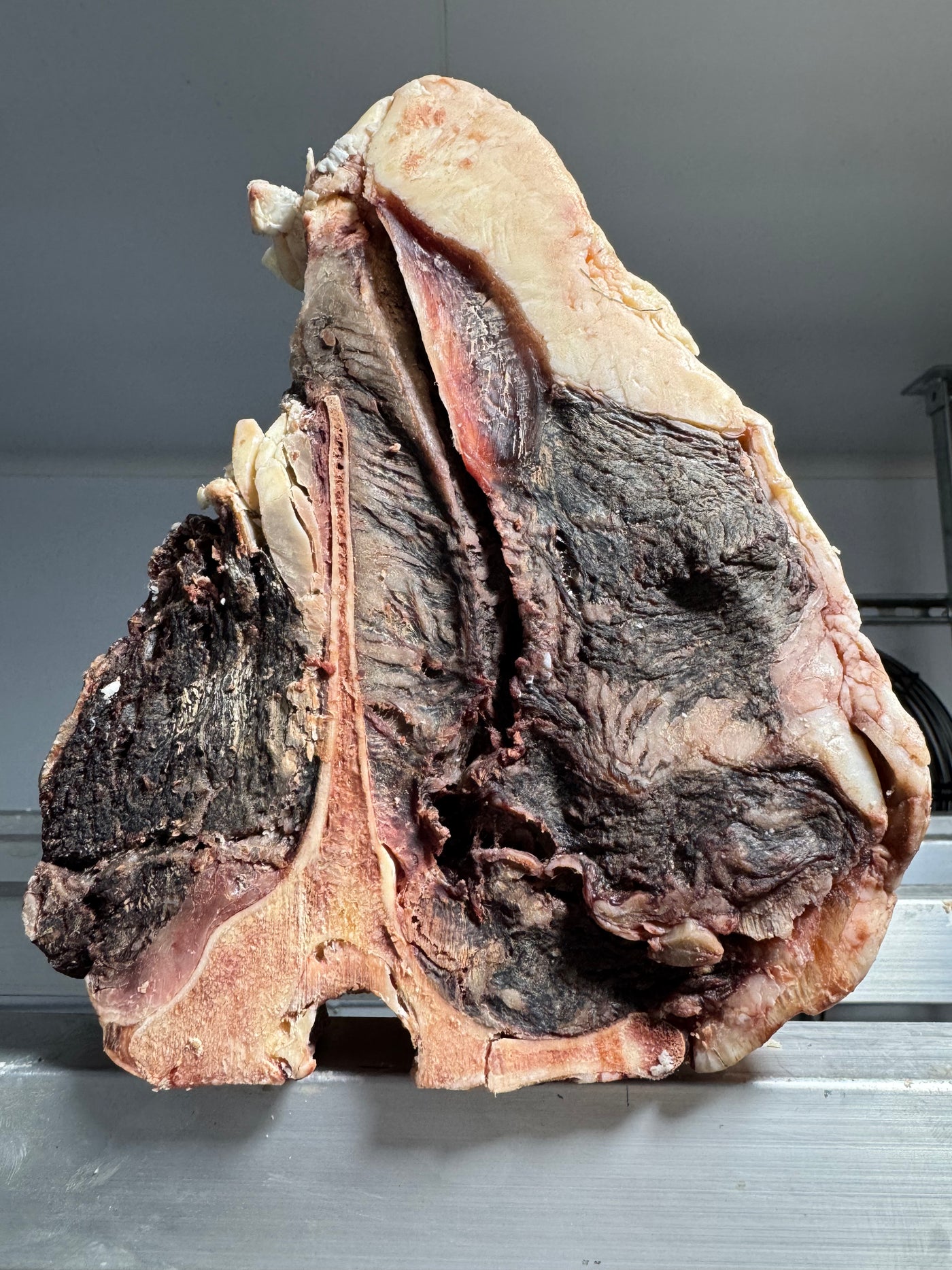 *TJB Special Edition* Grade 7 Chocolate-Fed UK Wagyu Thomas Joseph Butchery