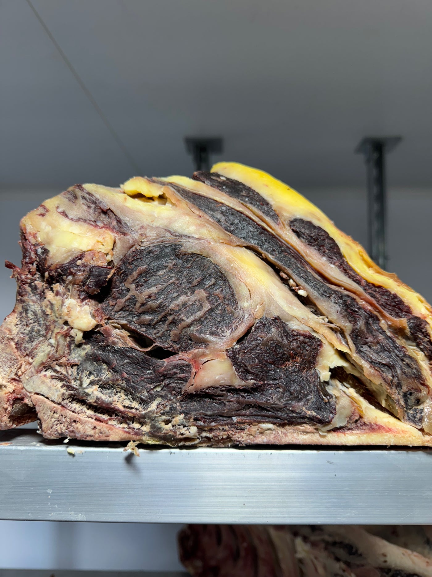 EXCLUSIVE 45 Day Dry-Aged Gentleman Approved Simmental Thomas Joseph Butchery