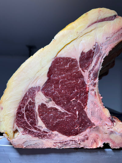 45 Day Dry-Aged Belted Galloway, 12 Years Old Thomas Joseph Butchery