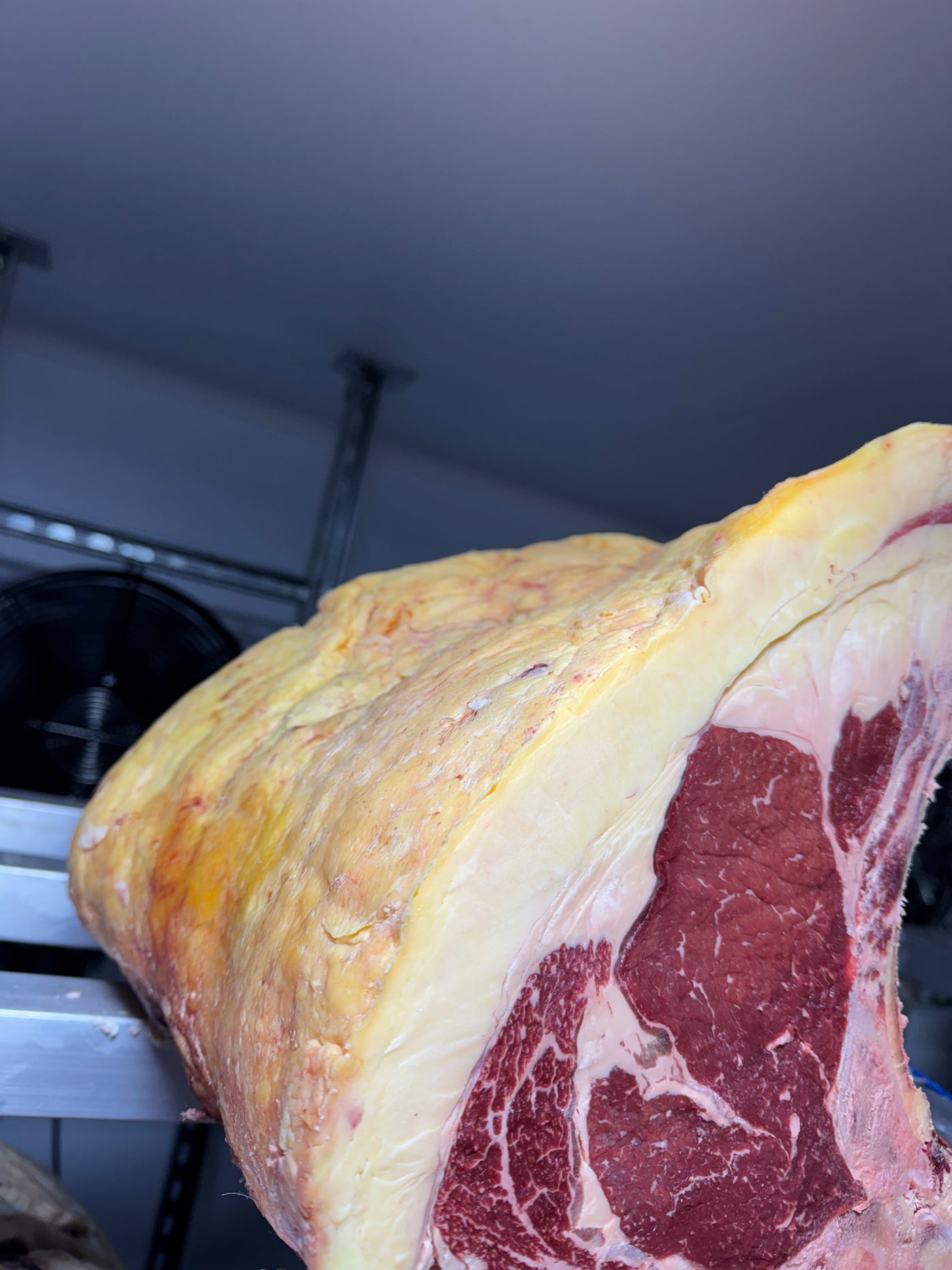 45 Day Dry-Aged Belted Galloway, 12 Years Old Thomas Joseph Butchery