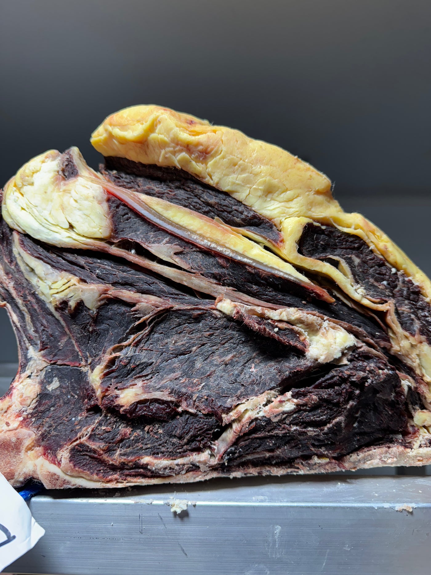 45 Day Dry-Aged Belted Galloway, 12 Years Old Thomas Joseph Butchery