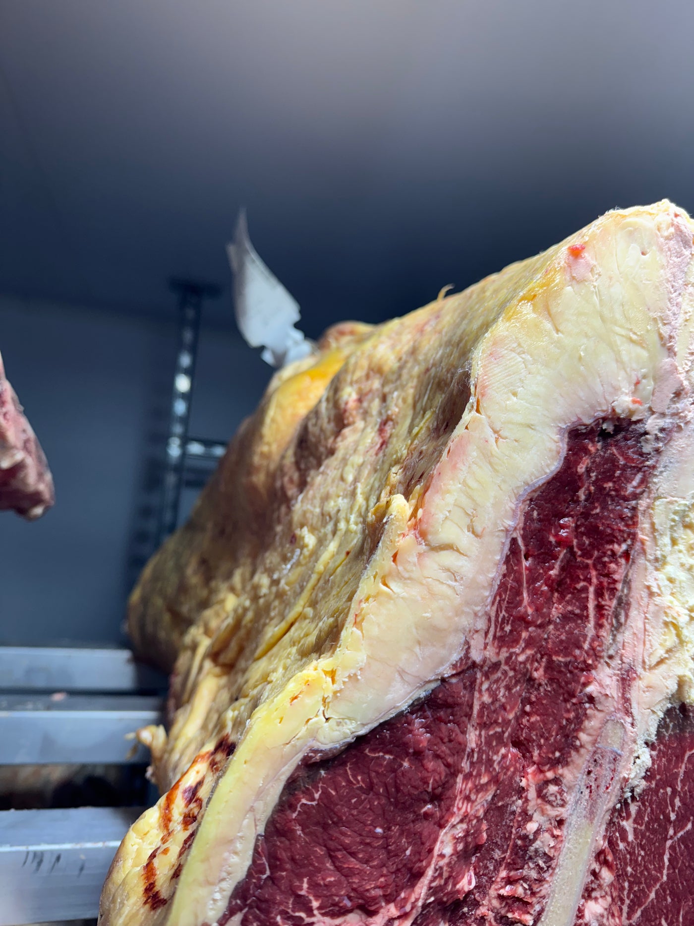 45 Day Dry-Aged Belted Galloway, 12 Years Old Thomas Joseph Butchery