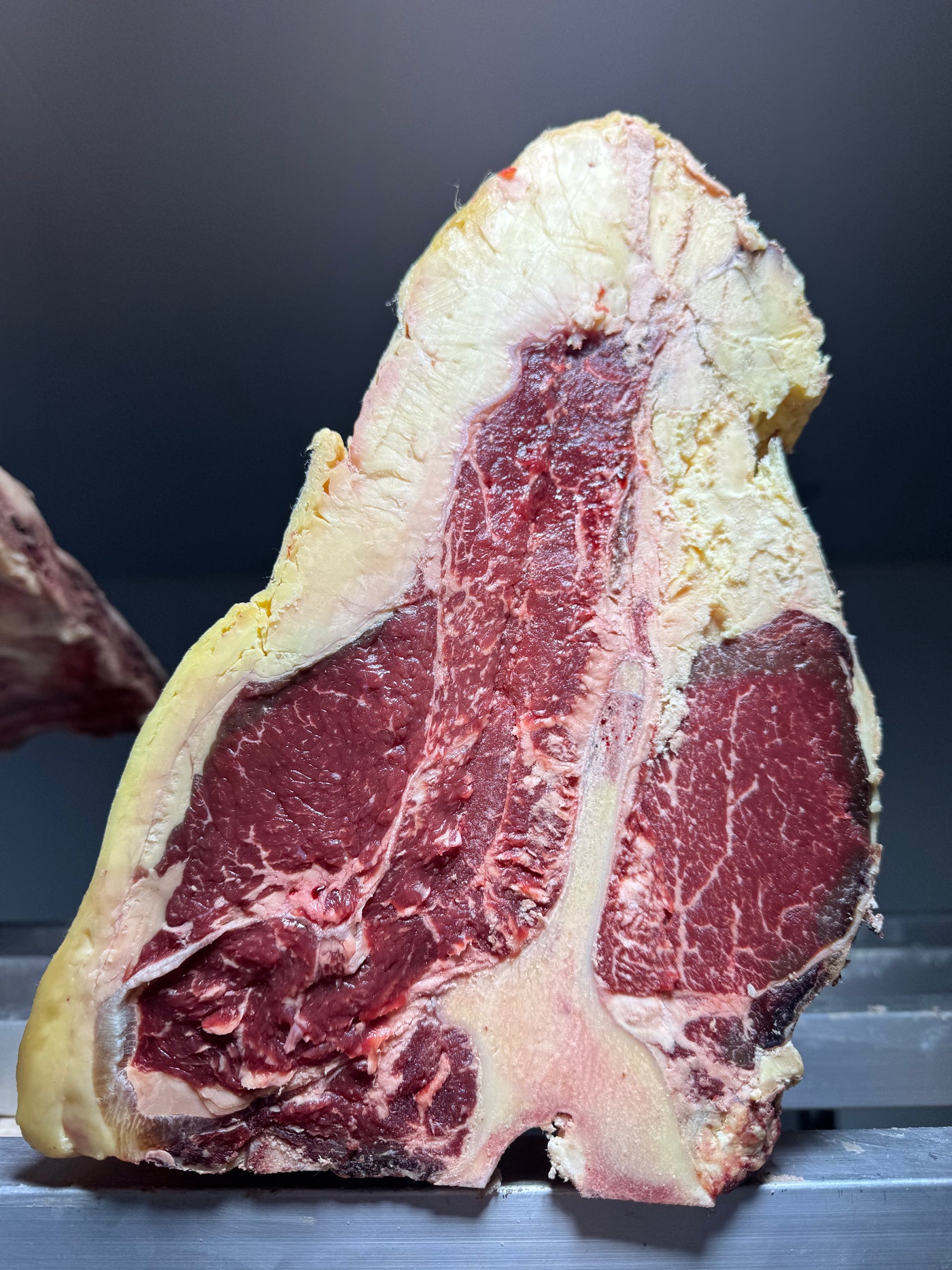 45 Day Dry-Aged Belted Galloway, 12 Years Old Thomas Joseph Butchery