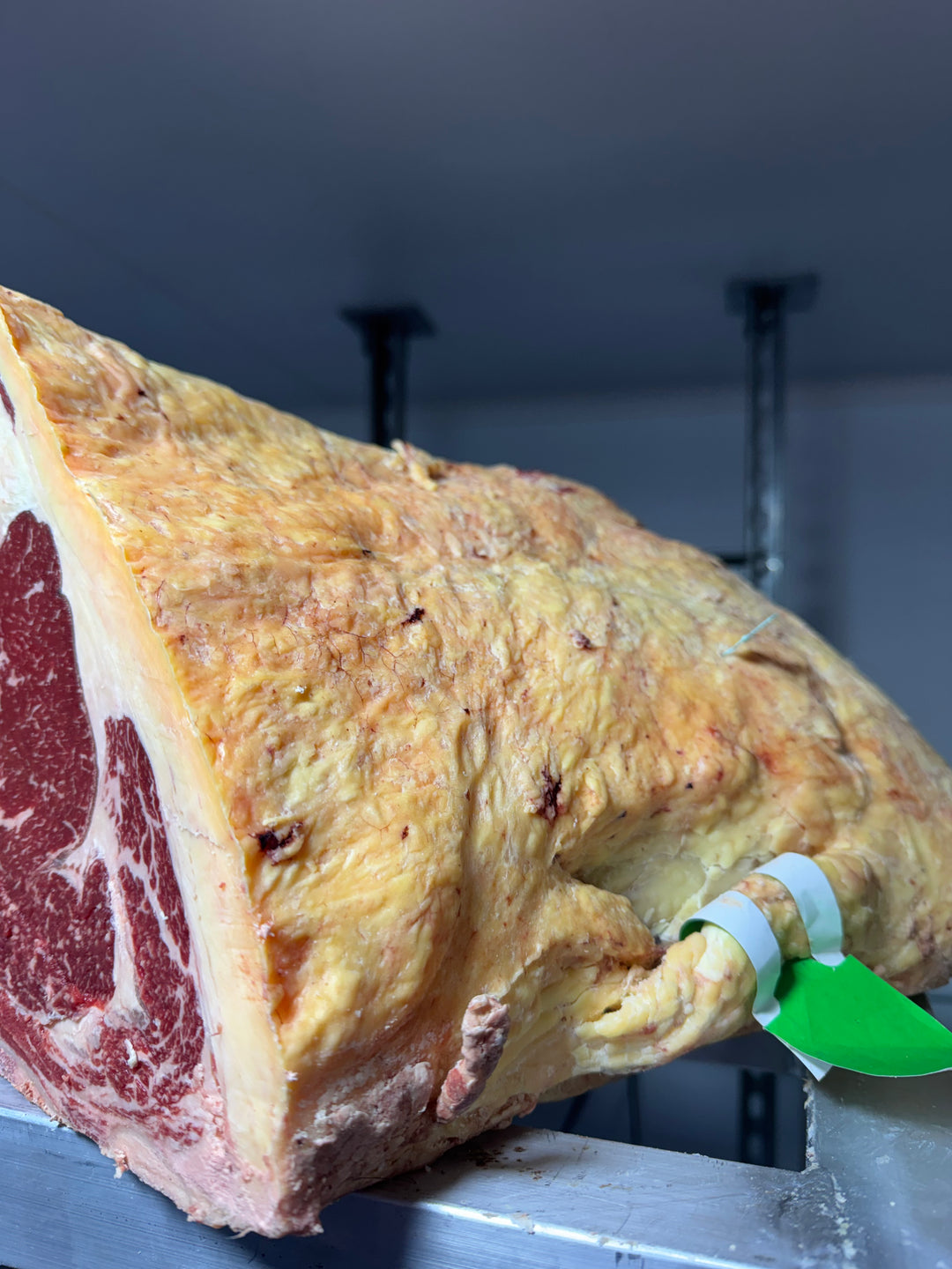 50 Day Dry-Aged Angus x Dairy Beef — dry-aged beef from Thomas Joseph Butchery