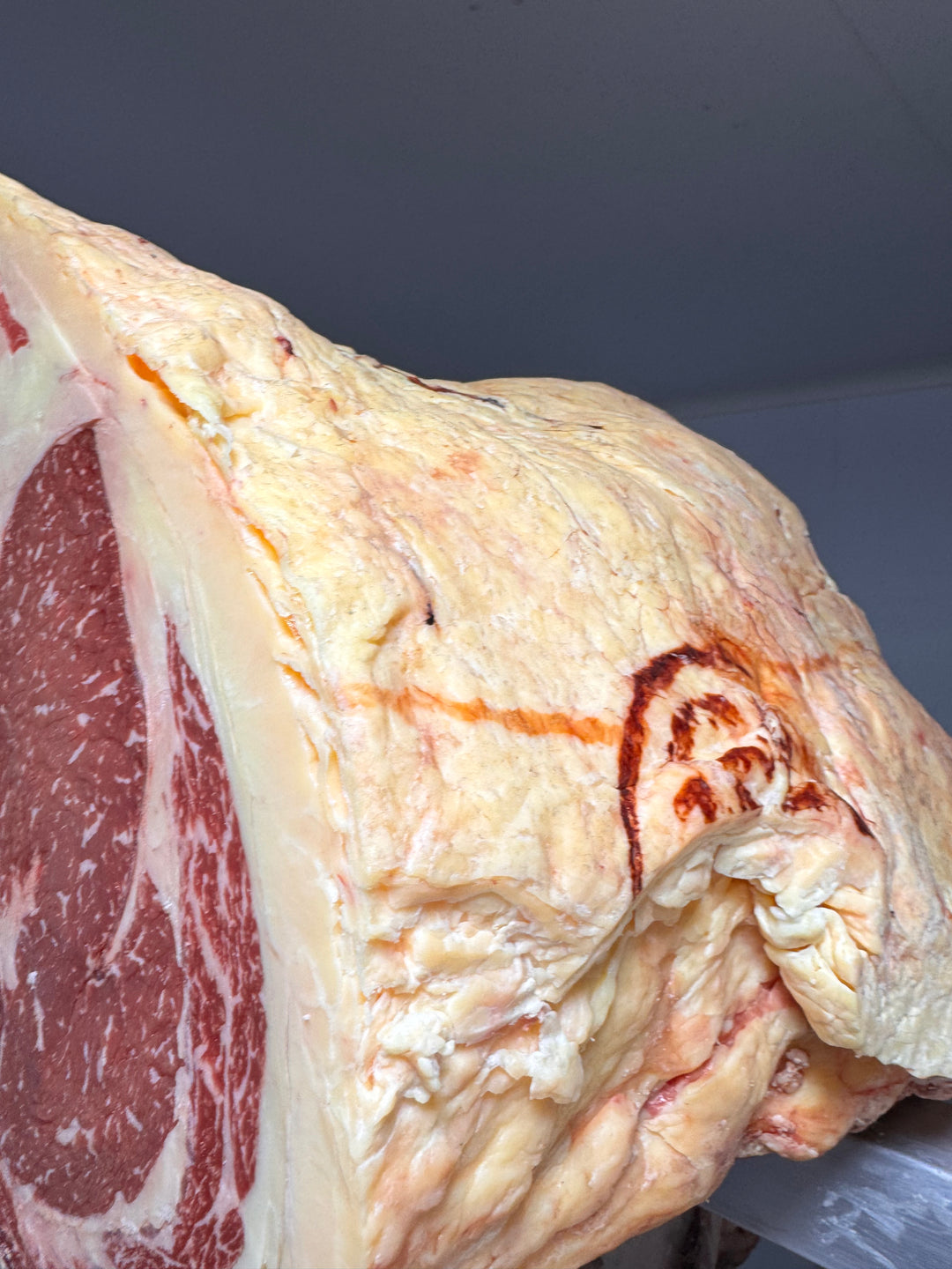 50 Day Dry-Aged Aberdeen Angus Cross — dry-aged beef from Thomas Joseph Butchery