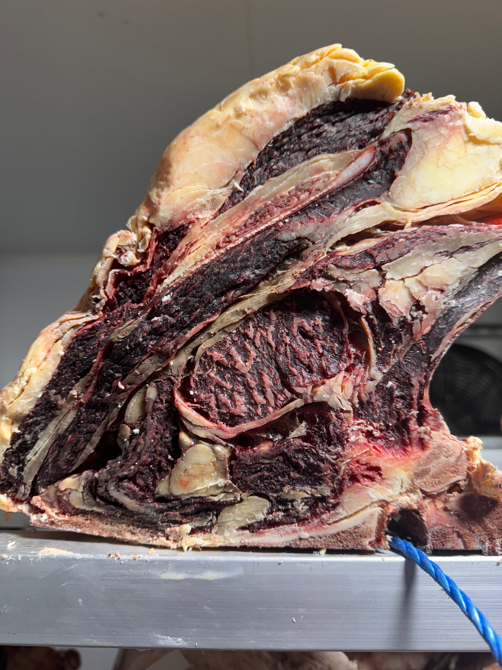 50 Day Dry-Aged Aberdeen Angus Cross — dry-aged beef from Thomas Joseph Butchery