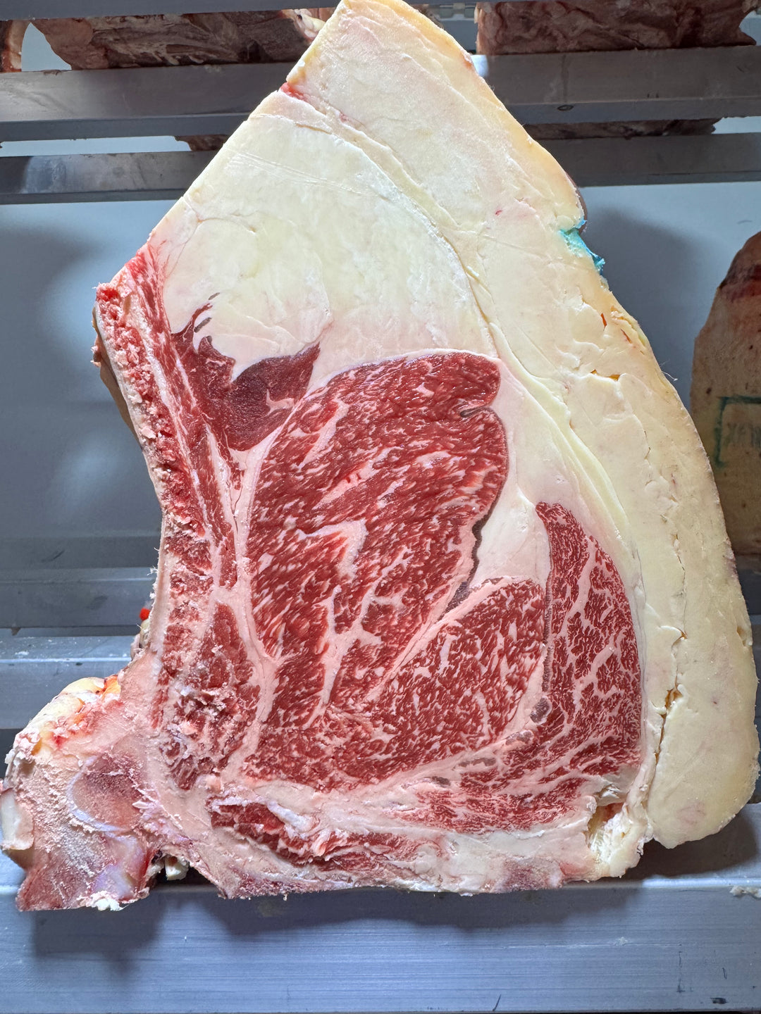50 Day Dry-Aged Rubia Gallega — dry-aged Galician beef from Thomas Joseph Butchery