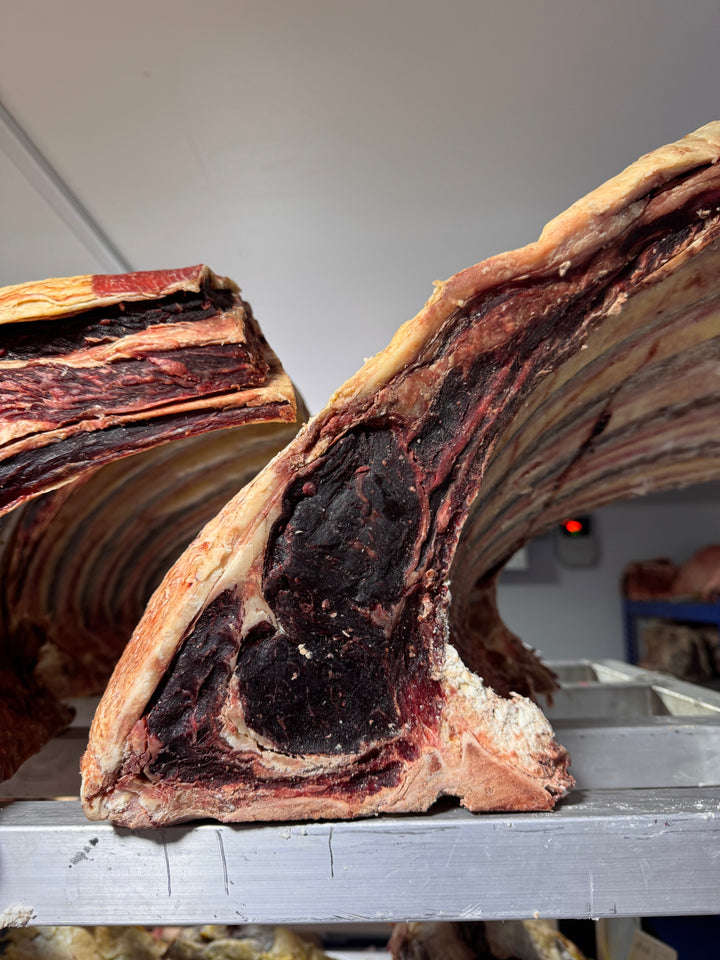 40 Day Dry-Aged Purebred Longhorn, Moors Farm