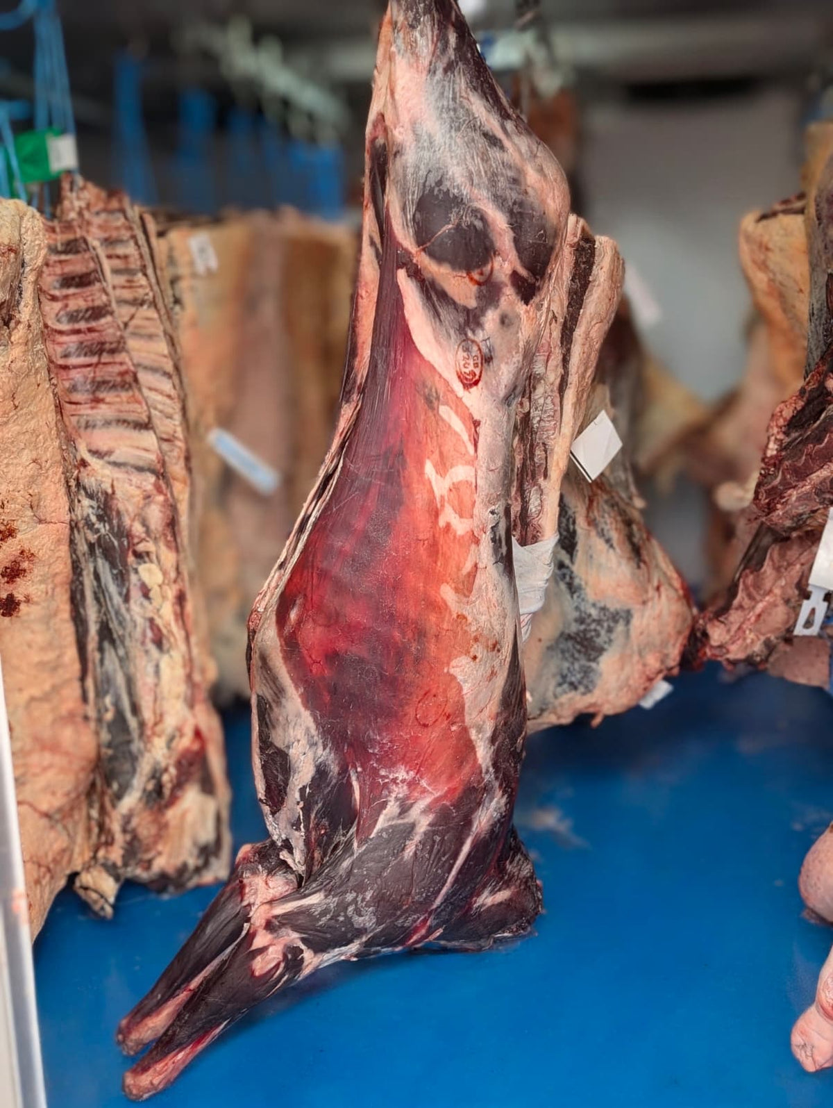 28 Day Aged Wild Red Deer Venison, Suffolk