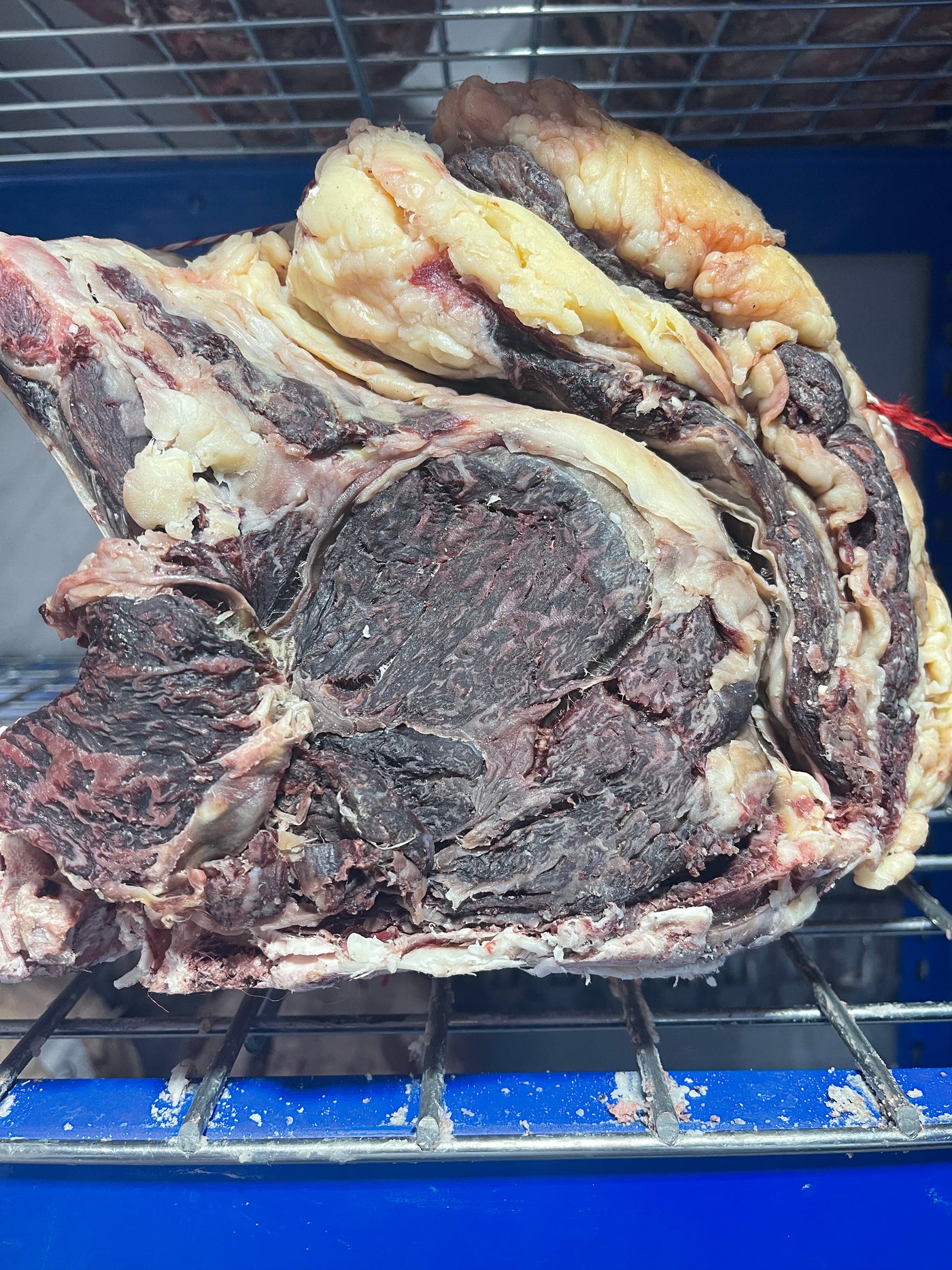 40 Day Dry-Aged Rubia Gallega, Exclusive To TJB Thomas Joseph Butchery