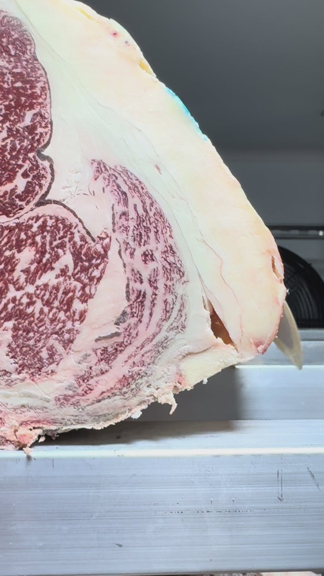 EXCLUSIVE 70 Day Dry-Aged Gentleman Approved Sakura Padana Thomas Joseph Butchery