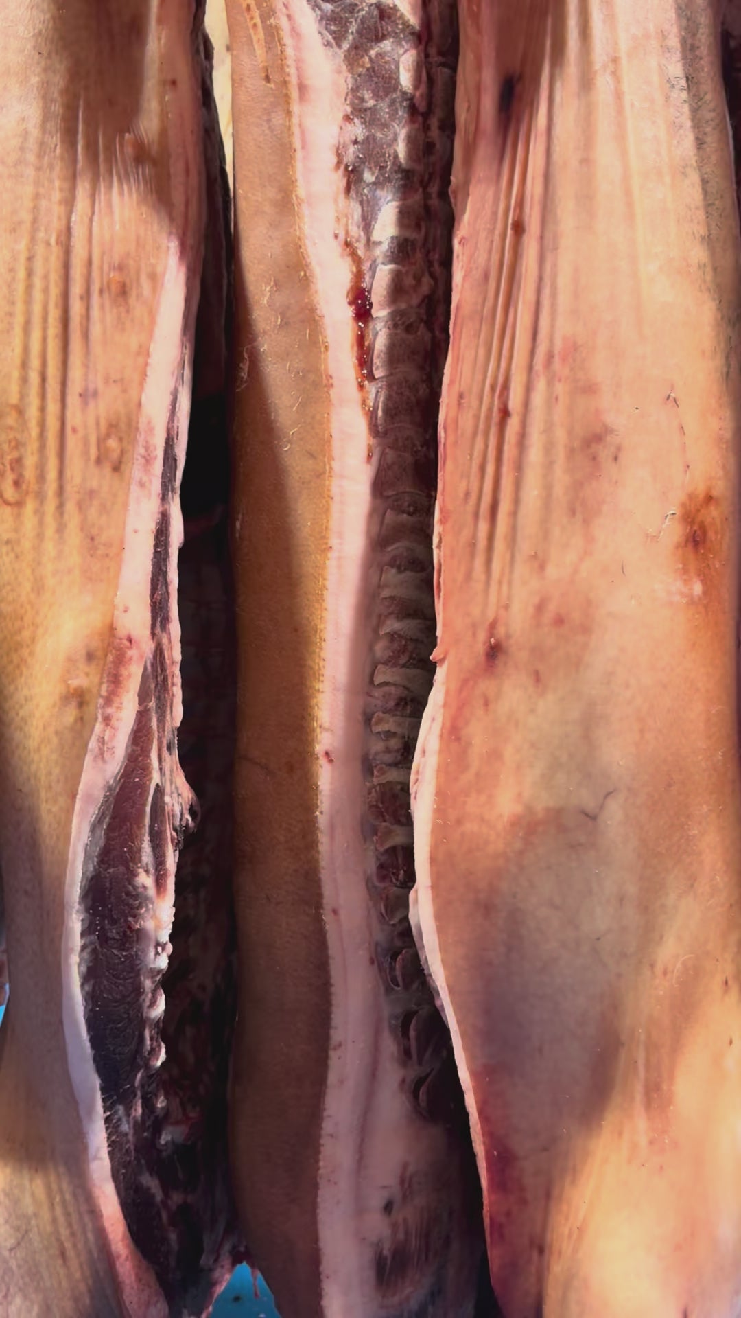 Woodland Reared Duroc Cross Pork, Norfolk
