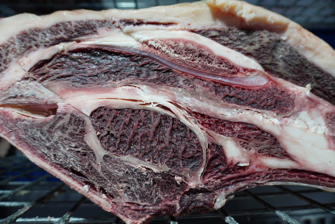 30 Day Dry-Aged Fullblood Wagyu Beast, Wildfell Farm, Norfolk *TJB Exclusive* - Thomas Joseph Butchery - Ethical Dry-Aged Meat The Best Steak UK Thomas Joseph Butchery